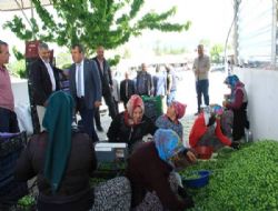 Başkan Nebi Yılmaz yaş meyve ve sebze esnafını gezdi